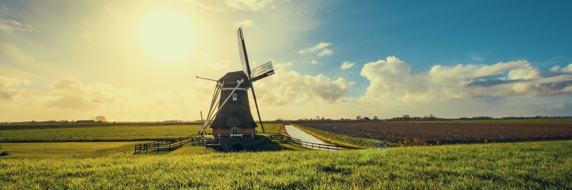 Windmolen tussen weilanden naast een sloot