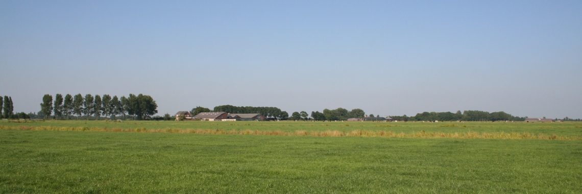 grasland in Rijnland