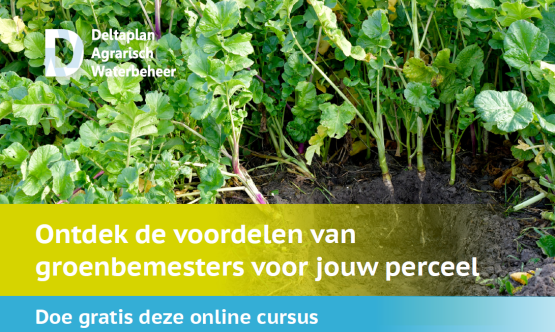 cursus groenbemesters