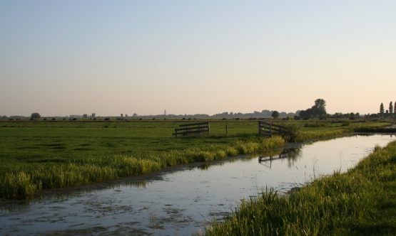 sloot met natuurvriendelijke oever